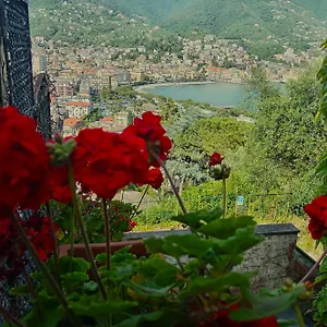 https://sunrise-2.hotelitalianriviera.com